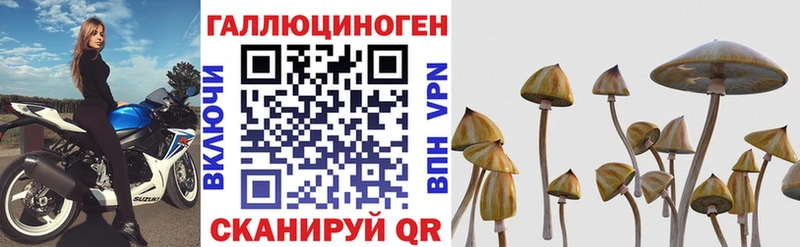 Галлюциногенные грибы мицелий  Дальнереченск 
