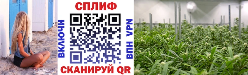 Бошки Шишки план  закладки  Дальнереченск 